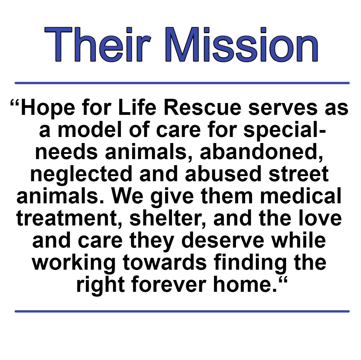 WesleyanEngaged's tweet photo. - Hope for Life Rescue - 
Volunteers are needed for walking dogs, cleaning kennels, and transporting animals.
Volunteer Application: https://t.co/zQQecZynt4 https://t.co/mjlD72BChM