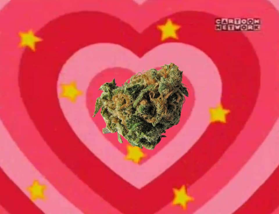 CannabisVirtuaI's tweet photo. Y todo esta bajo control gracias a: https://t.co/qy8IDbc9WE