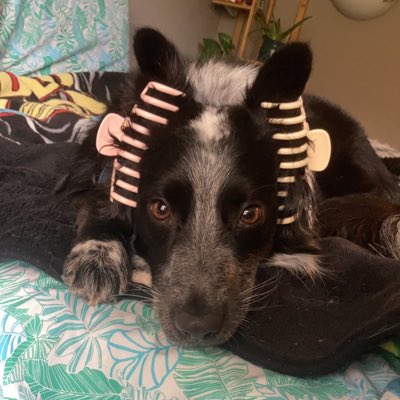 D_epresso6's tweet photo. #NewProfilePic https://t.co/MhlVGS9a2u