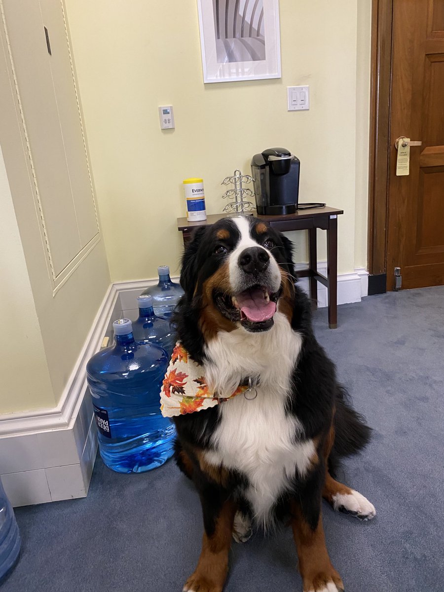 maireadlynn's tweet photo. Reunited with my bestie Hugo and it feels so good!! #fallfestive #hugo https://t.co/8OtL58cFu7