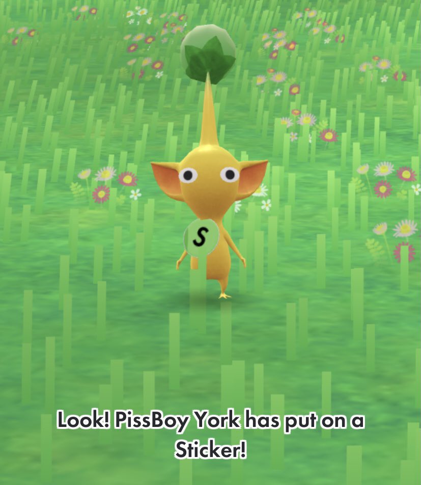 coolestmacey's tweet photo. Just thought @dilfosaur would appreciate that I have a Pikmin named PissBoy York and he put on a sticker today. Me thinks the S stands for Stinky https://t.co/OZTOiNkzzz
