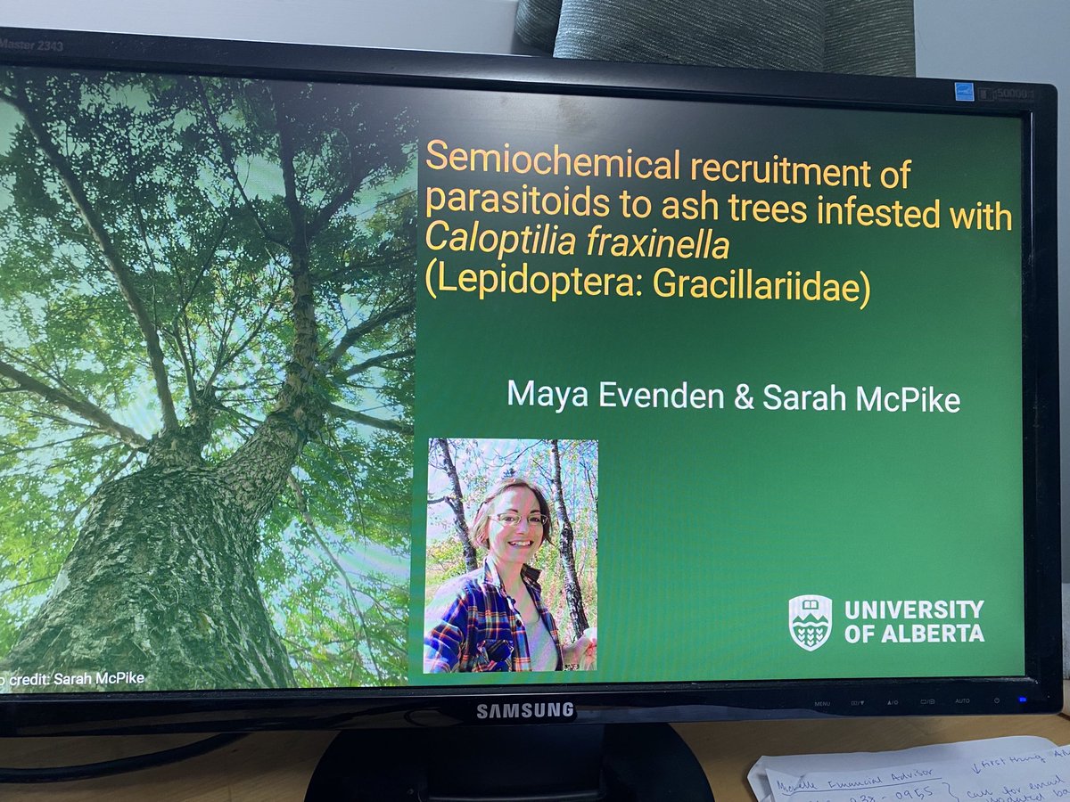 Super fun to present some of the MSc research of ⁦@sarah_mcpike⁩ as part of the semiochemical-based pest management symposium that ⁦@BoydMori⁩ and I co-organized for the #2021ESCJAM. ⁦<a href="/ualbertaScience/">Faculty of Science, University of Alberta</a>⁩ ⁦<a href="/UofAALES/">Faculty of ALES, University of Alberta</a>⁩ Thanks to all the participants!