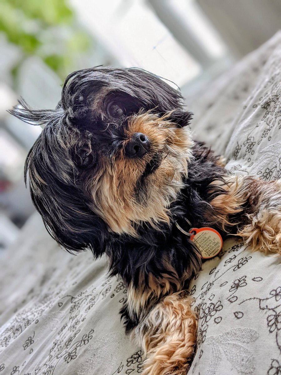 TheKarltopia's tweet image. In case you need a reminder, take a break. #WorkFromHome #MyAssistant