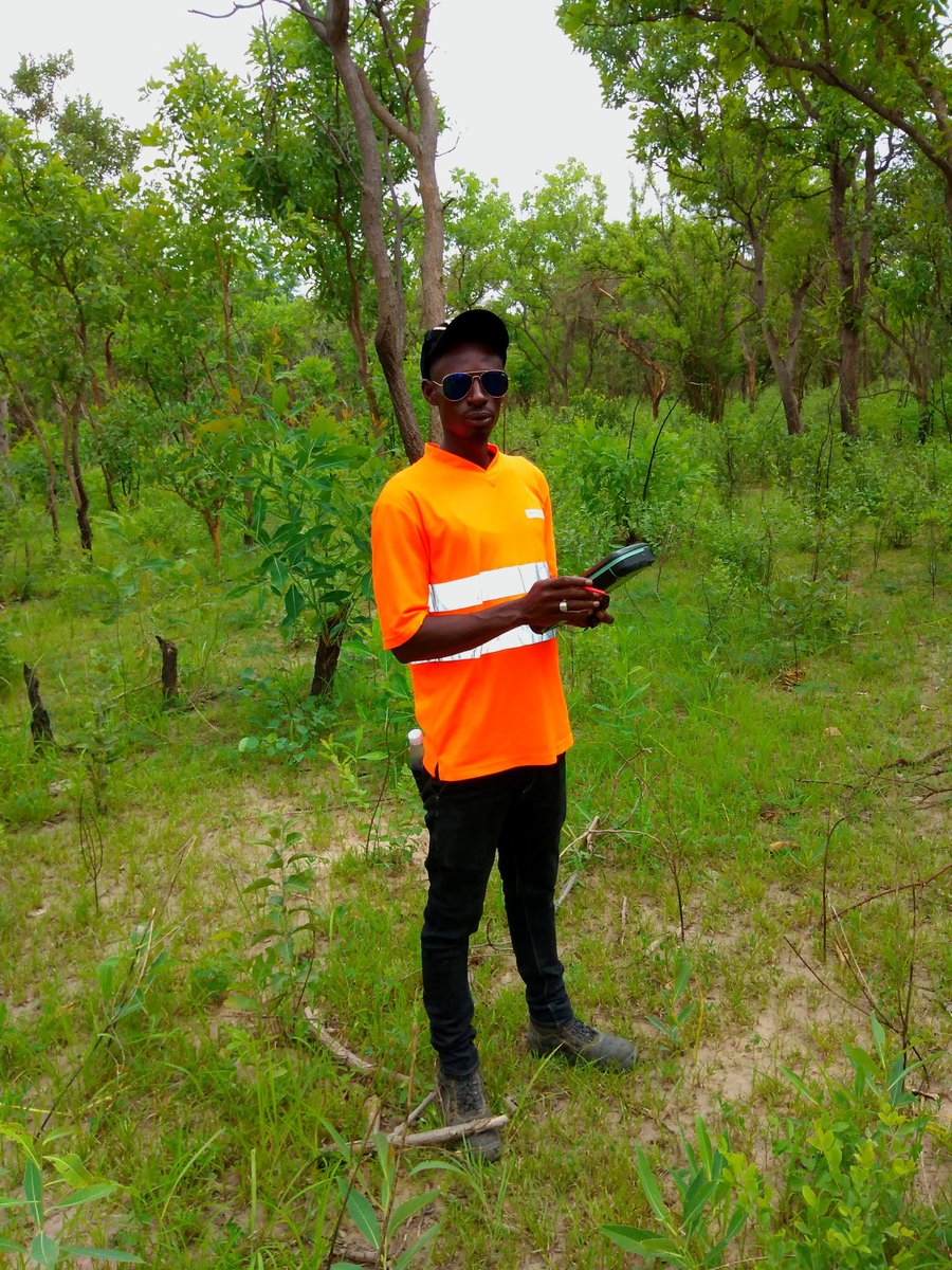 At kulari Bush