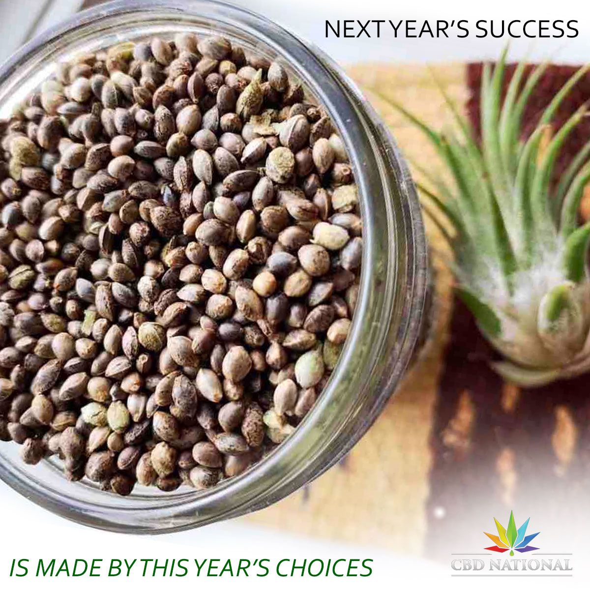 CbdNational's tweet photo. Good farmers know: The choices you make now are what grow your success next year! Choose wisely! Choose quality tested genetics from CBD National! #hemp #feminizedSeeds #CBD https://t.co/eKifbhkqYE https://t.co/5nSayNLhFm