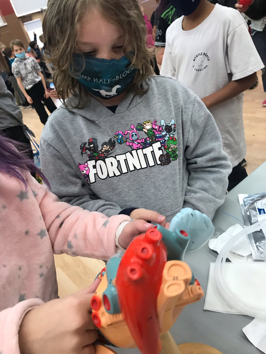 bcolonna1's tweet image. Today we had a visit from Dr. G to learn from a professional about the heart! ❤️ @Gorham_MWCSD #witandwisdom