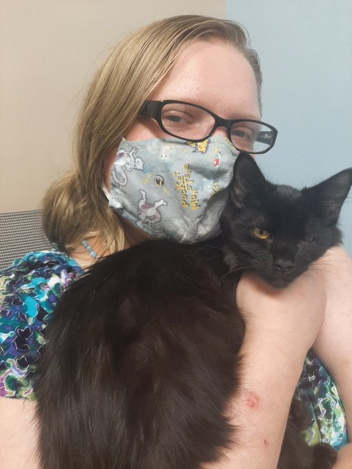 Lulu had to go to the vet today #cat #cats #kitten #vettrip https://t.co/bnjSU83pUU<a href="/tag/cat"class="tags">#cat</a><a href="/tag/cats"class="tags">#cats</a><a href="/tag/kitten"class="tags">#kitten</a><a href="/tag/vettrip"class="tags"><span>#vettrip</span></a>