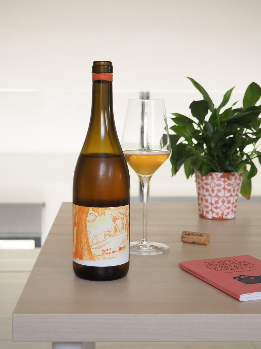 Visionaris tweet media