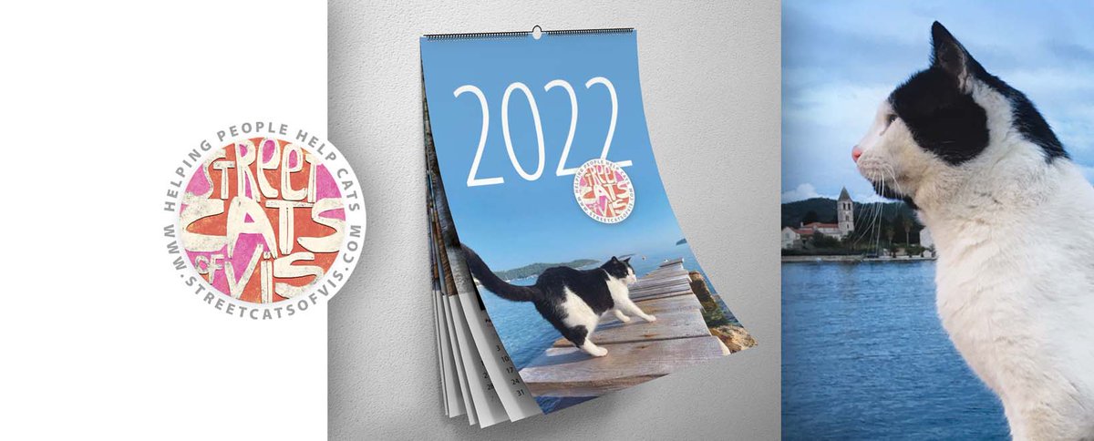 KatzenworldBlog's tweet photo. Our latest post (Street Cats of Vis 2022 Calendar Fundraiser) is now live! Please check it out on https://t.co/oIMwSvRX8C #cats #katzenworld #catlovers :D https://t.co/TLX1iBqjAJ