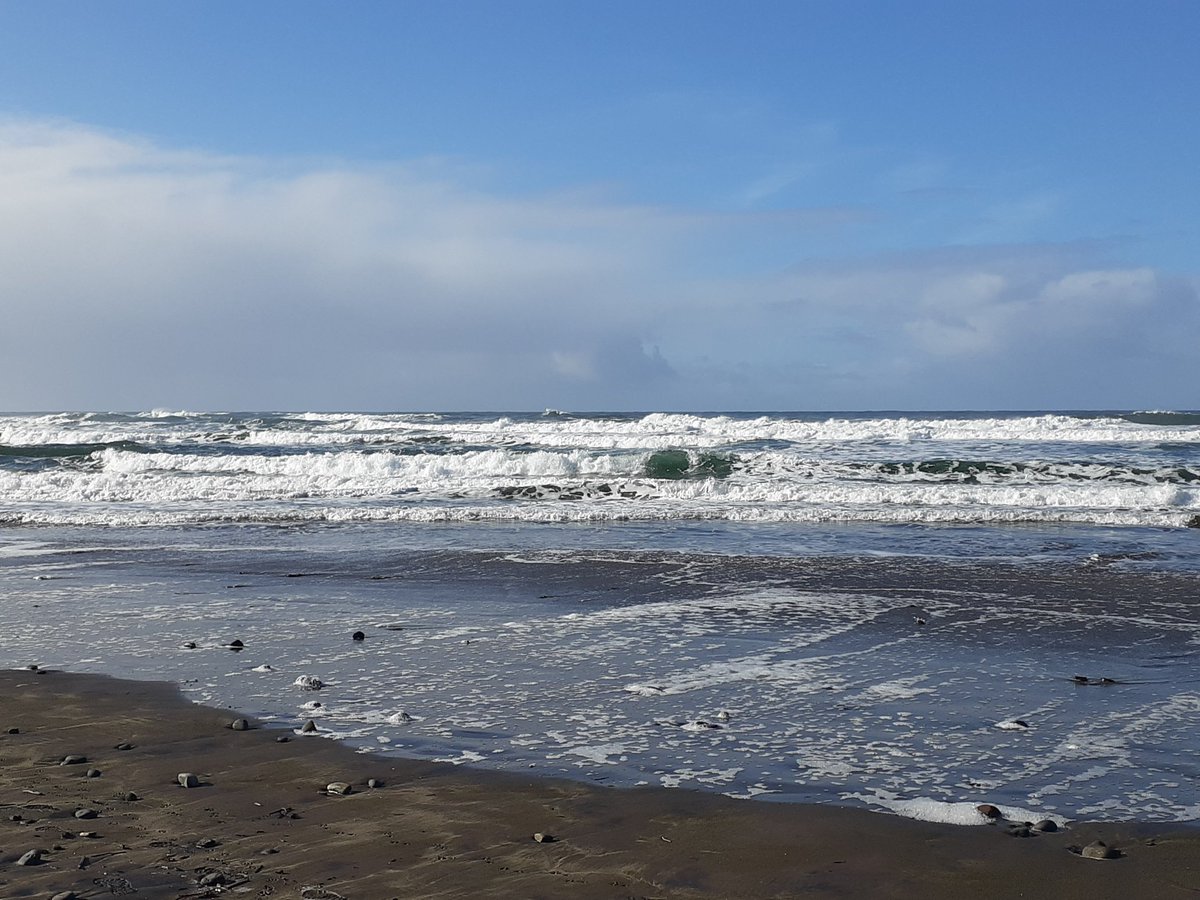 lynzib74's tweet photo. @doritkemsley1 just visited Beverly Beach in beautiful Newport, Oregon. The perfect escape.... https://t.co/pvQr0mXDk0