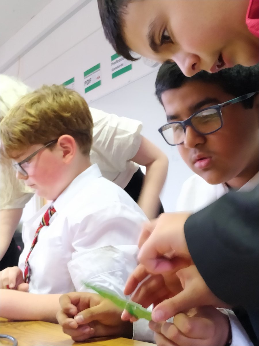 sjcrstem's tweet photo. Soldering along a Xmas 🎄 in @sjcrmain #STEM club under the watchful eye of Y10 and 12. Sorry to those we had to turn away - we will run a mop up session, promise! #victimofyourownsuccess #GirlsInSTEM https://t.co/pGloGH7pBD