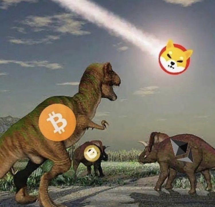 $Shib
#shib 
#ShibaArmy 
#cryptocurrecy
