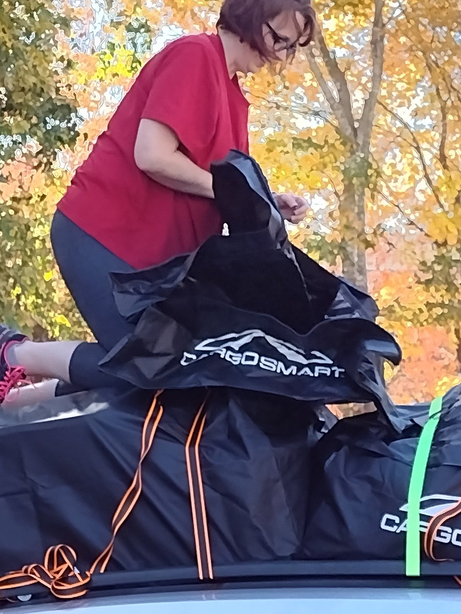 Moore2Music's tweet image. Clampetts move to Florida. Theresa on top of her car adding yet another carrier to free up room in both cars!!