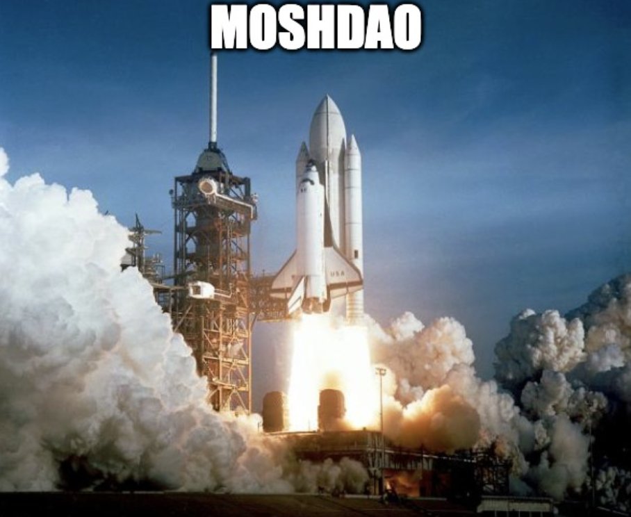 MoshDAO's tweet photo. @tolusnotes https://t.co/wbMXnp1l4f