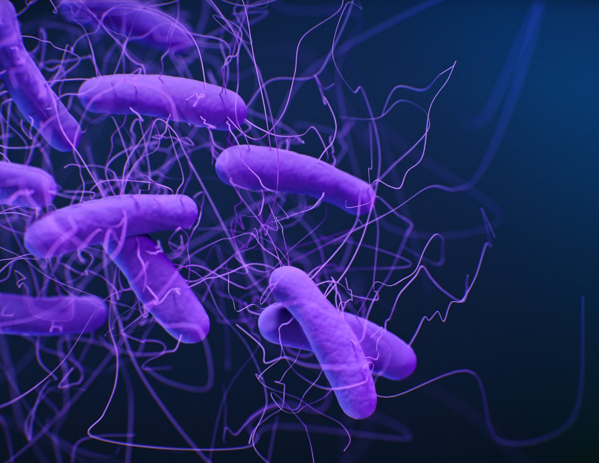 CDC_AR's tweet photo. How can we continue to decrease C. diff cases?
โผ๏ธ #InfectionControl
โผ๏ธ Improved antibiotic use
โผ๏ธ Diagnostic testing
Learn more: https://t.co/VQ7QyxxYTZ #NovemberCdiffAwareness #cdifficle https://t.co/lV8uj92PsG