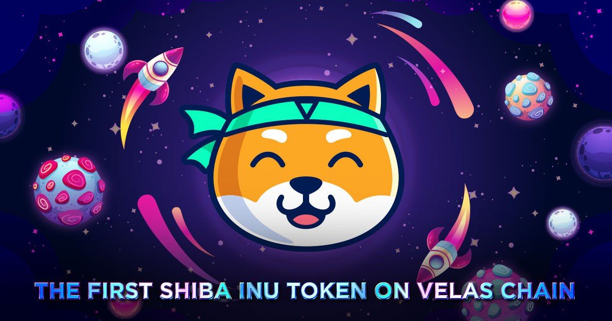 bluemooncalls's tweet photo. 💥 Velas shiba is working on a great usecase. Recently they started to build the first NFT Marketplace !
💥Fast and low fees. 40% from the total fees from nft marketplace wil be automatic buyback in the $VSH token! 
 https://t.co/pSO5jF6rpO
https://t.co/j1Zs5aKxWw https://t.co/BHidcwqgSY
