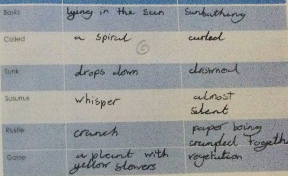 LSTClass09's tweet photo. After reading ‘Adder’ from ‘The Lost Words’, we looked in more detail at some of the words used in the poem #STPSReading #poetry #definitions #synonyms https://t.co/ezcanX0qo7