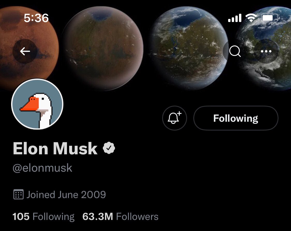 TheGoosePunks tweet picture