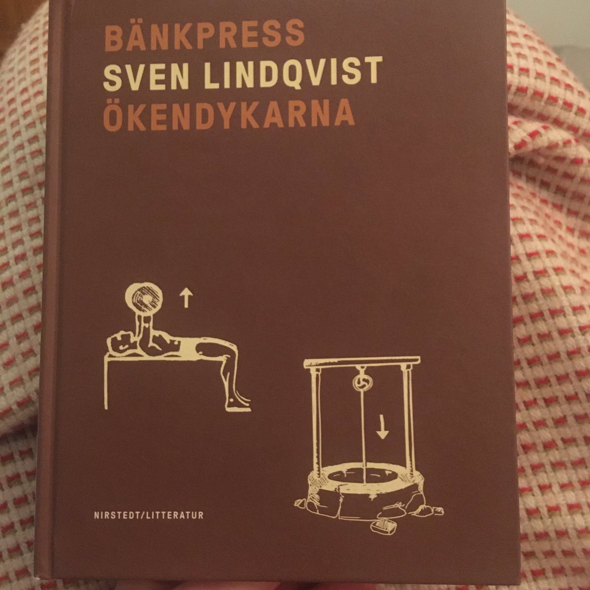 Erle Marie Sørheim tweet media