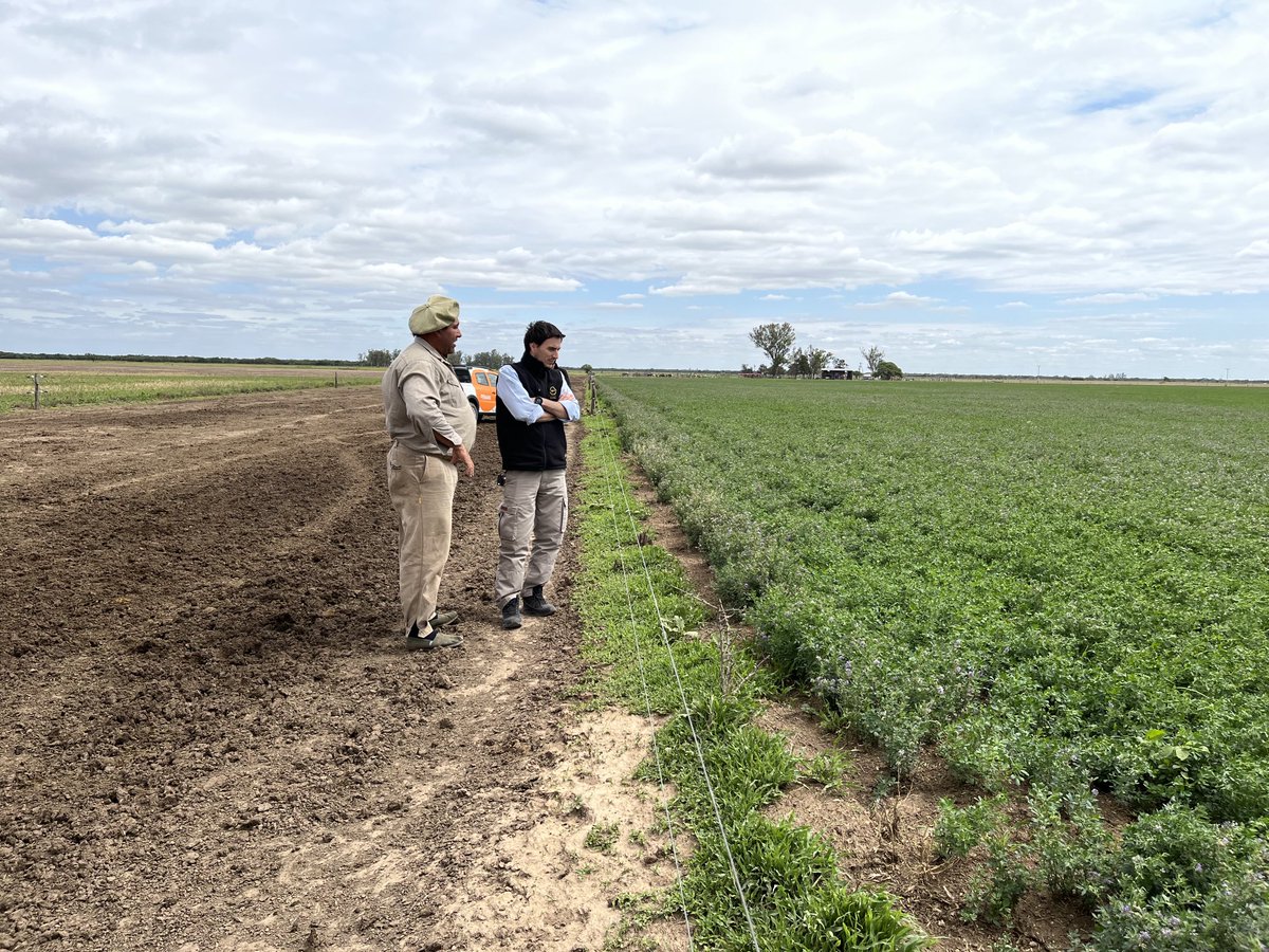 maguilarbenitez's tweet photo. Otras placas de recorrida con tecnicos de #Peman Silo de autoconsumo + 2hs de pastoreo de alfalfa para corregir el silo y entregar Proteína https://t.co/GpwWVurduw