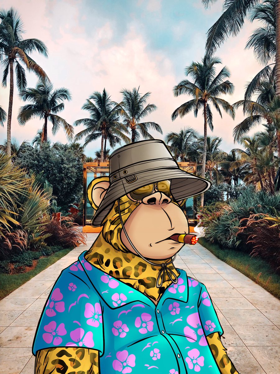STUFFDOE_ETH's tweet photo. @PostMalone @theweeknd Yea yea I like that #cut
Specially after @theweeknd 
We got plenty of board apes to get over 🎶 
#fatapeclub
Chillin in #Miami 
Smokin a #jeffray
On the beach #pimpin
#fatapearmy better yet
#fatapenavy
Tell #WeezyFBaby
#fatapes make #babies
#always #true never shady #fatapememes https://t.co/pgPUNZoFpo
