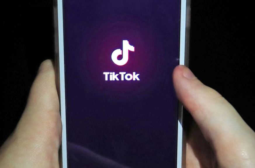 Manchester Family / Emma Gill tweet media