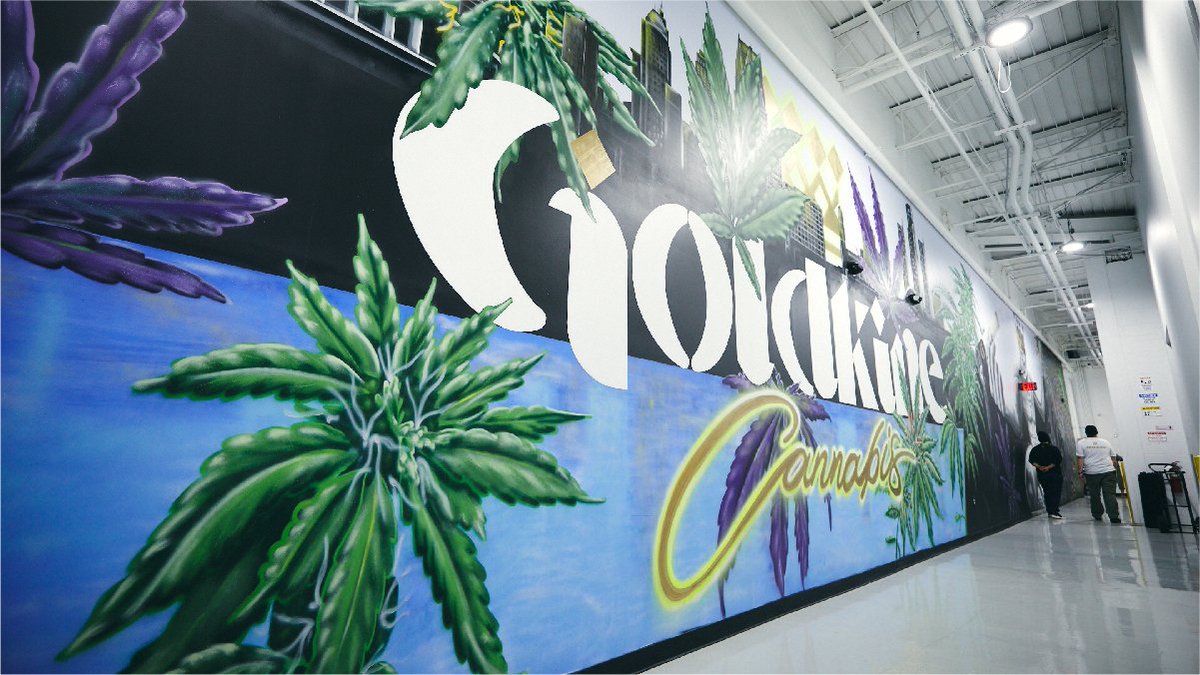 A state-of-the-art facility with a controlled cultivation environment, distinct grow rooms dedicated to different phases of plant growth, and a full selection of genetically cataloged strains. If that just got you fired up, you’re our kind of kine.

#goldkine #oneofakine #mmmp
