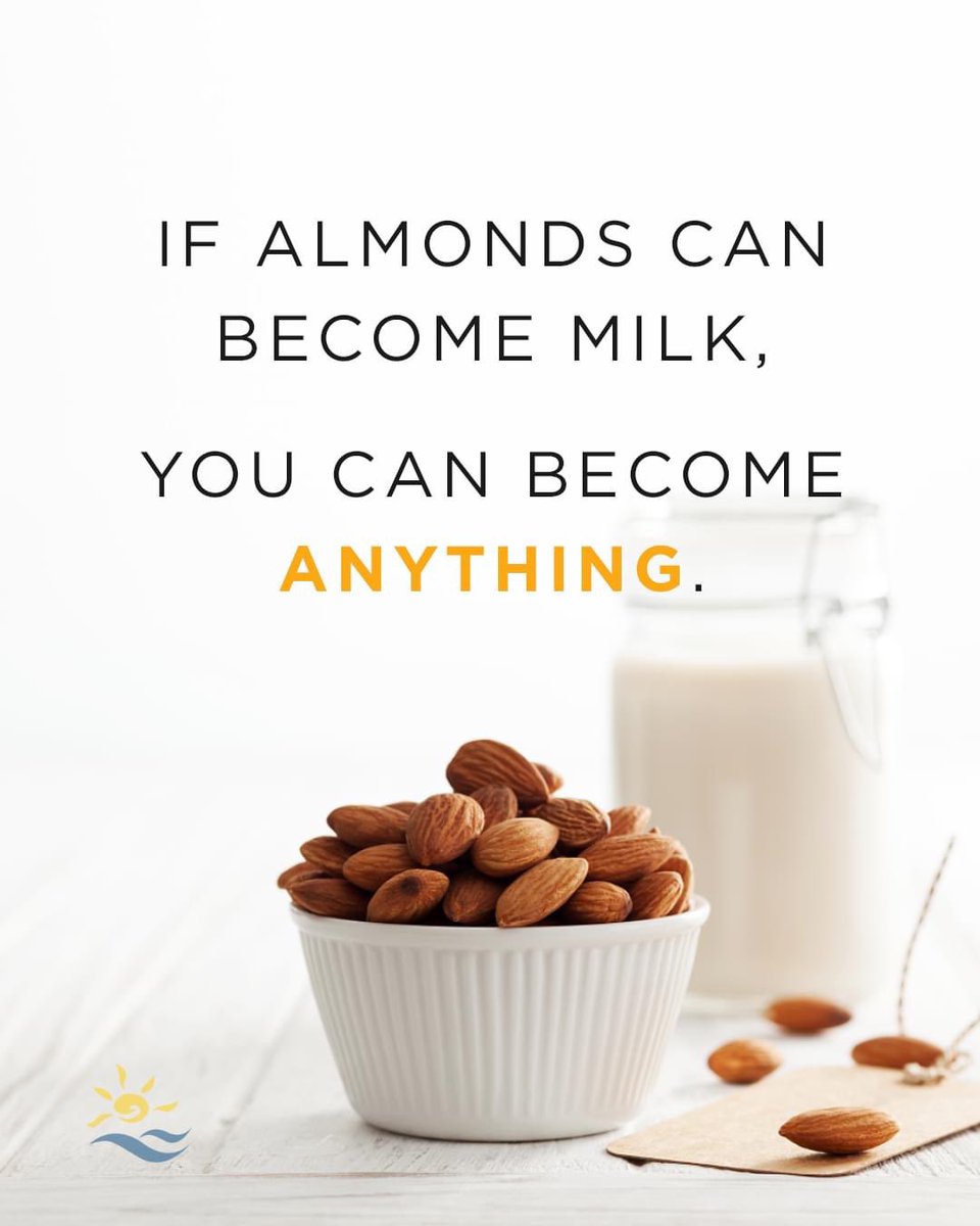 Elie El Hage tweet media