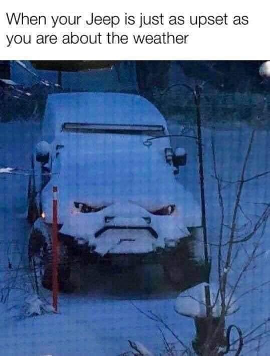 Jeep Life tweet media