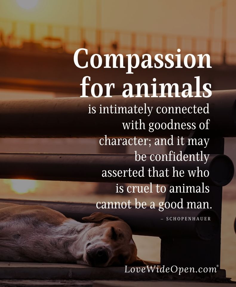 Inspiration by John on Twitter: Inspiration by John on Twitter: