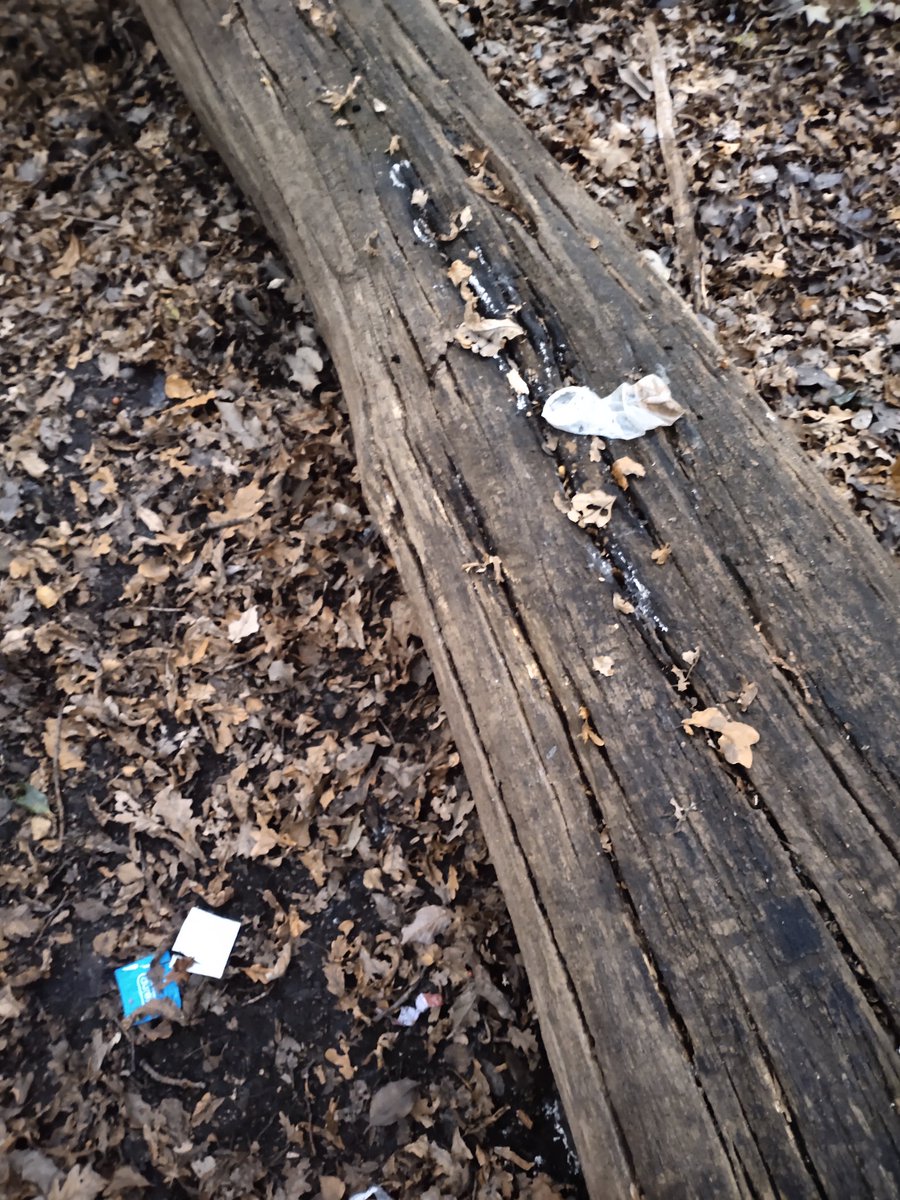 CruisingLdn2's tweet photo. Used tissues and stuff in Epping forest today
#eppingforestcruising #eppingforest #gaycruising #LondonCruising #gaylondon #eastlondon #Eastlondongaycruising #eppingforestgay #Ldncrusing #cruisinglondon #gaywood #cruisinginwoods https://t.co/kmJA4LSjfb