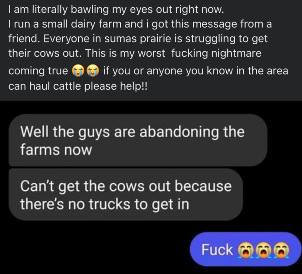 darcynews's tweet photo. Multiple dairy farms in the #Abbotsford area around Sumas Flats are flooded, with animals trapped and no way to get them out by road. This is truly heartbreaking. (Screen shot from FV Flood Help Facebook group) https://t.co/FbdDcqEnQf