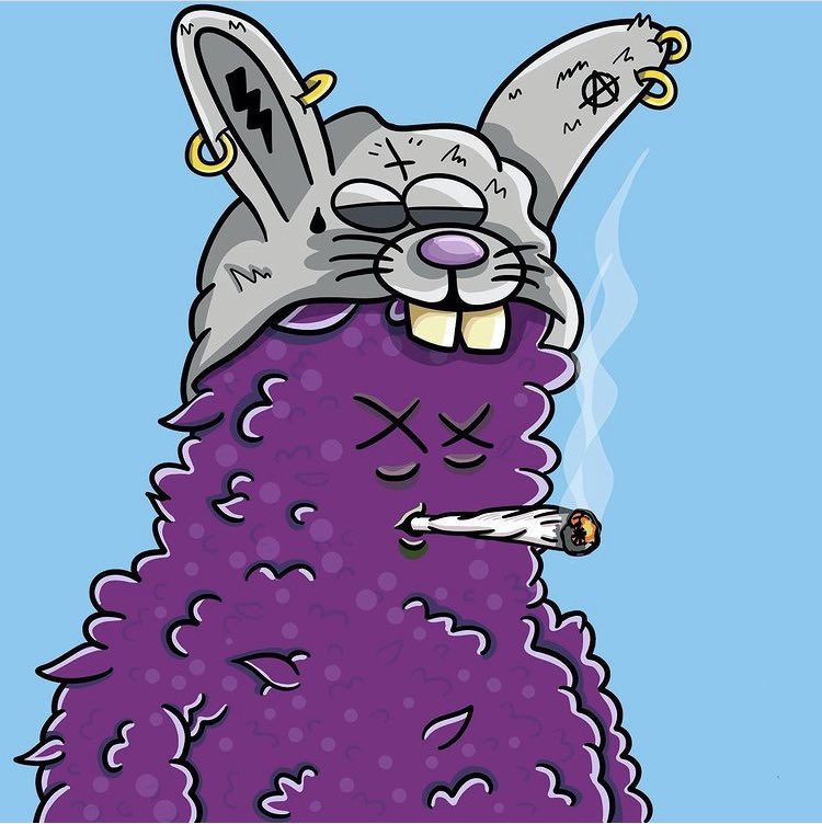 RudeAsPossible's tweet photo. Who’s interested in the upcoming launch of CryptoWeed dudes? #NFTCommunity https://t.co/awtmUTLsoG