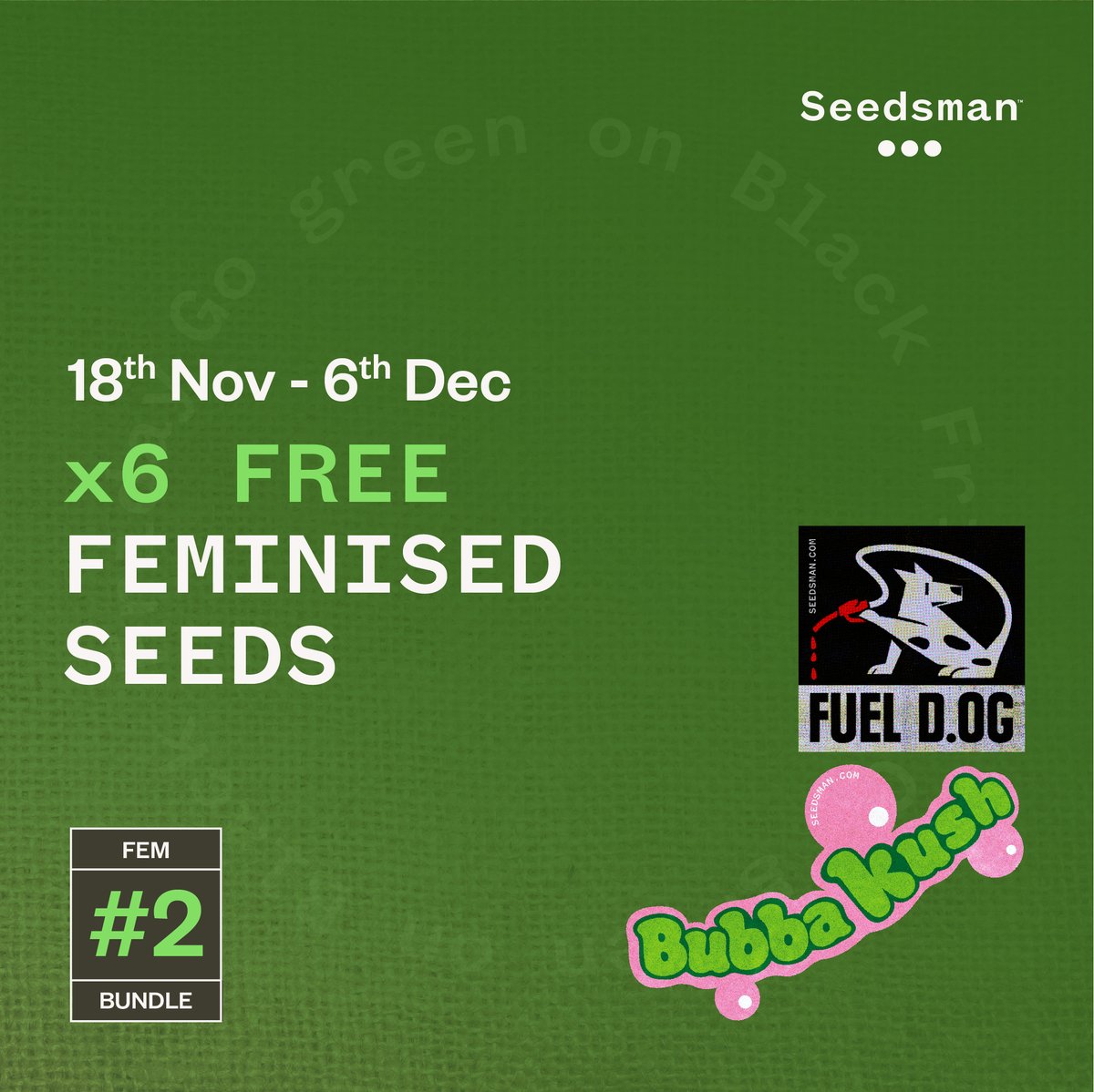 SeedsmanSeeds's tweet photo. 🔴 We're excited to announce our three price tier fem freebie bundle for Black Friday this year!
⚡ Black Friday starts 18th of November ⚡ https://t.co/FPab6vSWzx