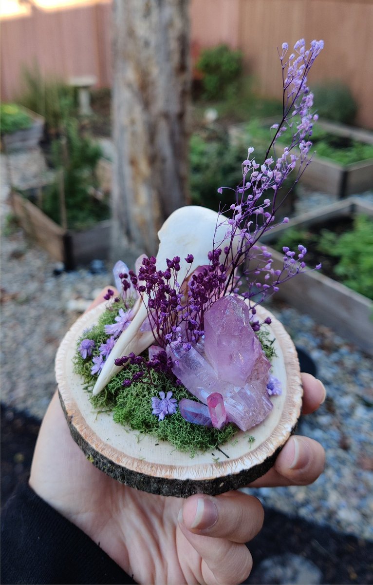 ive been really into fairy-feeling displays right now! so, a glittering lavender crow. video below!