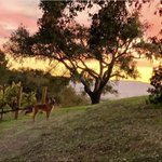 Photo by Horizon Cellars (@HorizonCellars)