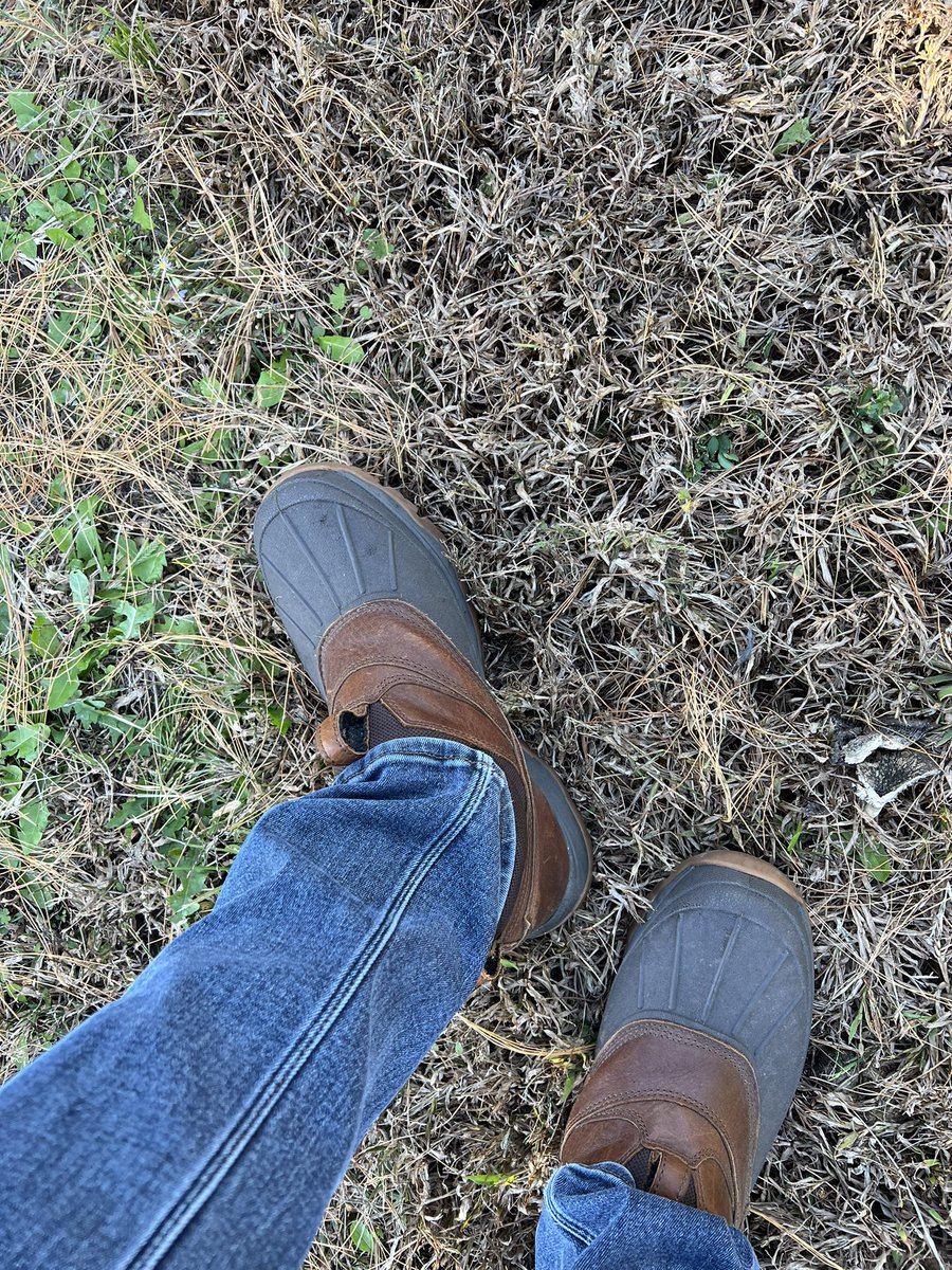 Surveying the beautiful Virginia and White Pine Christmas trees out at Boomer Family Tree Farm in Virginia Beach. This field reporting called for L.L. Bean and Columbia.