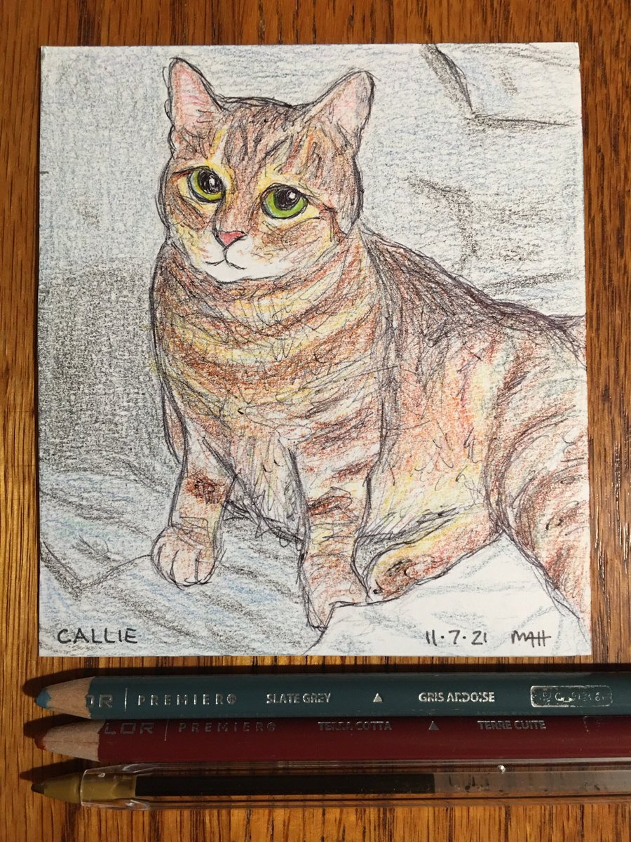 mattctnt's tweet photo. After Inktober ended, I kinda forgot to continue to post my cat drawings on Twitter. Here’s an internet cat that I don’t know the name of and my friend’s cat Callie! 😺 #Callie #CatsOfTwitter #PenandInk #ColoredPencils #CatArt https://t.co/ISc2cXu5gD