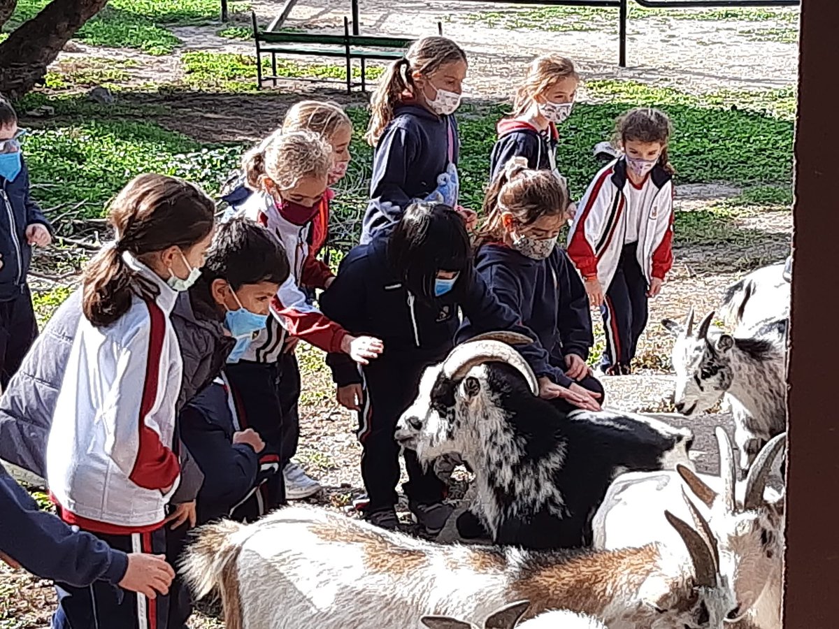 colemercedmad's tweet photo. Entrenamos la #competencia #emocional  en una jornada de convivencia, rodeados de animales y naturaleza en la #GranjaDeLasEmociones 🐴🐏🌾🪨 https://t.co/3GQPIXSPMi
