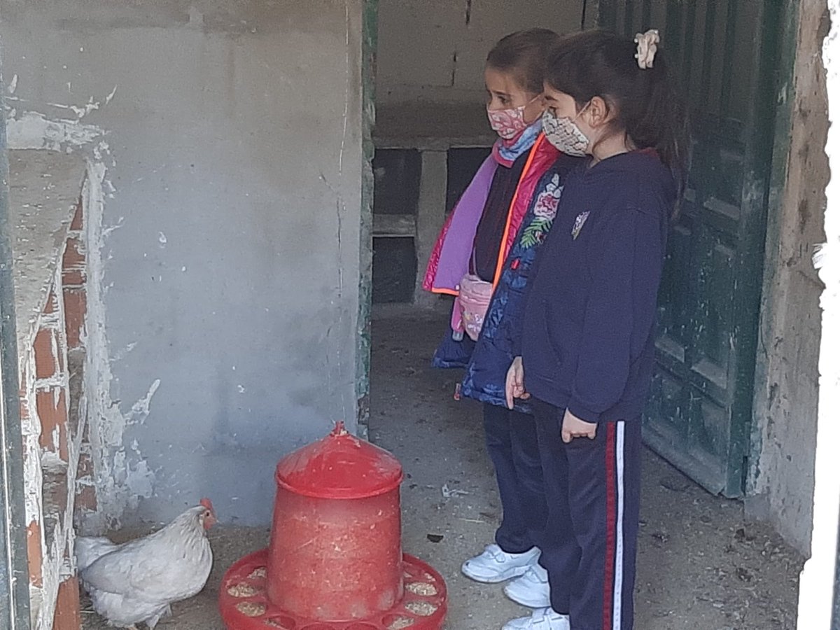Entrenamos la #competencia #emocional  en una jornada de convivencia, rodeados de animales y naturaleza en la #GranjaDeLasEmociones 🐴🐏🌾🪨