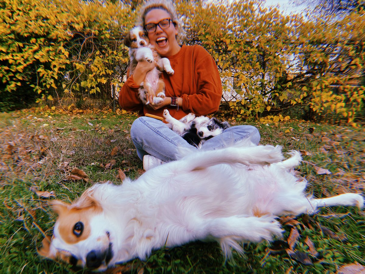 katiemaehoward's tweet photo. in my element https://t.co/zQOfkbodVk