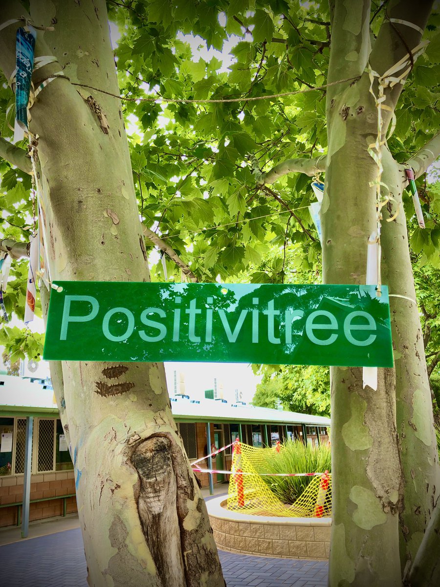 My view. New hashtag?
#positivitree