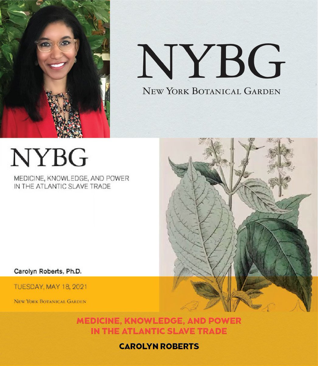 SANCA Seattle tweet media