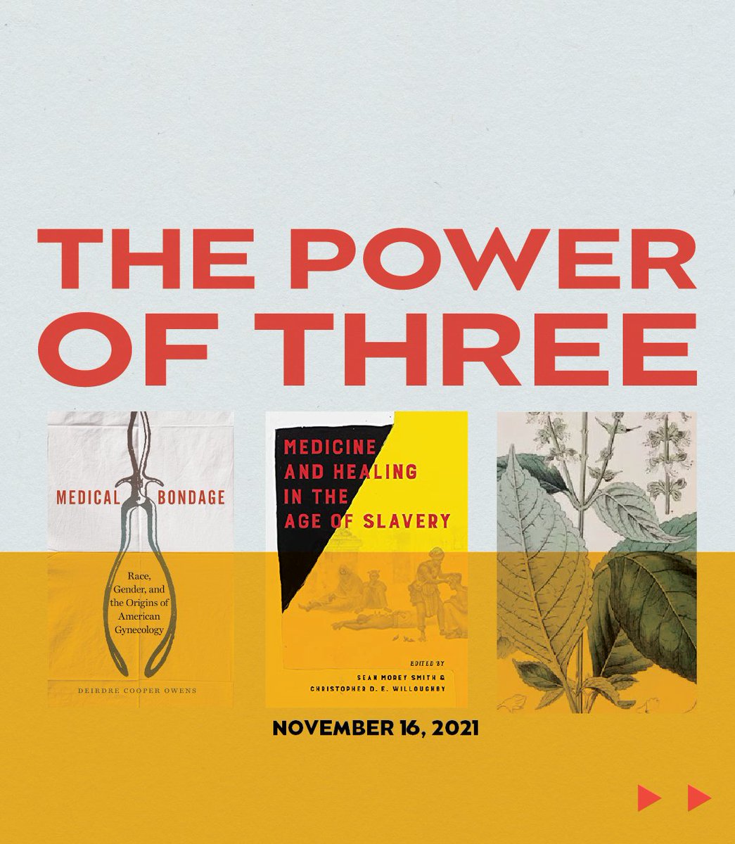 SANCA Seattle tweet media