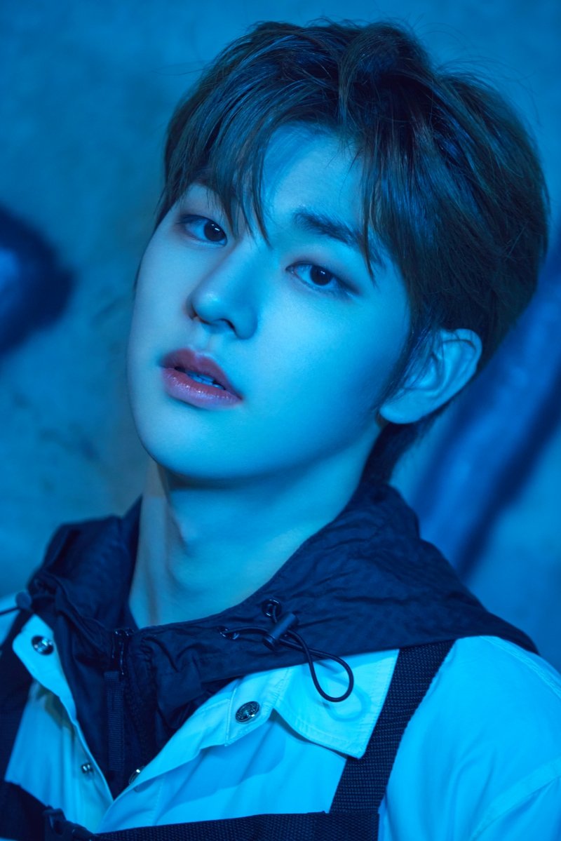 Drippin_lover's tweet photo. NIGHT HOWLER #김동윤 https://t.co/xMvhz4Qc9M