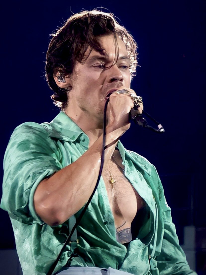 theharrylibrary tweet picture