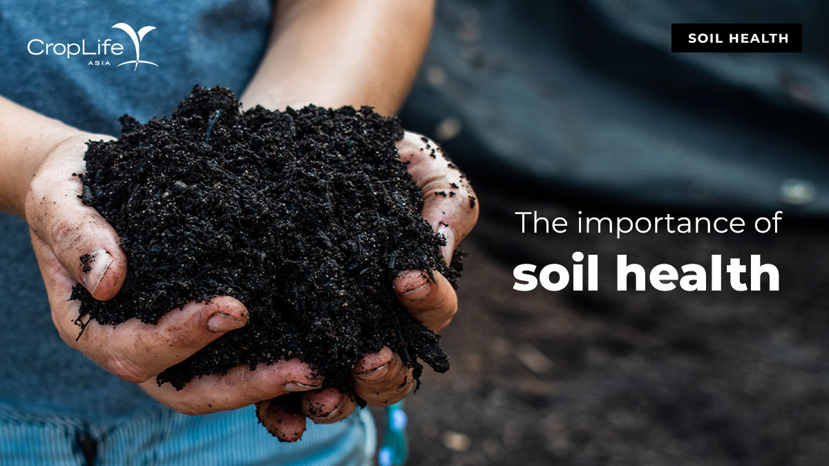 CropLife Asia (@croplifeasia) on Twitter photo Soil health plays a key role in several of the goals, as many of them cannot be achieved without healthy soils and sustainable land use. The recent COP26 has also highlighted additional funding for soil health. Learn more here: croplife.org/news/soil-heal…
<a href="/CropLifeIntl/">CropLife International</a> Soil health plays a key role in several of the goals, as many of them cannot be achieved without healthy soils and sustainable land use. The recent COP26 has also highlighted additional funding for soil health. Learn more here: croplife.org/news/soil-heal…
<a href="/CropLifeIntl/">CropLife International</a>
