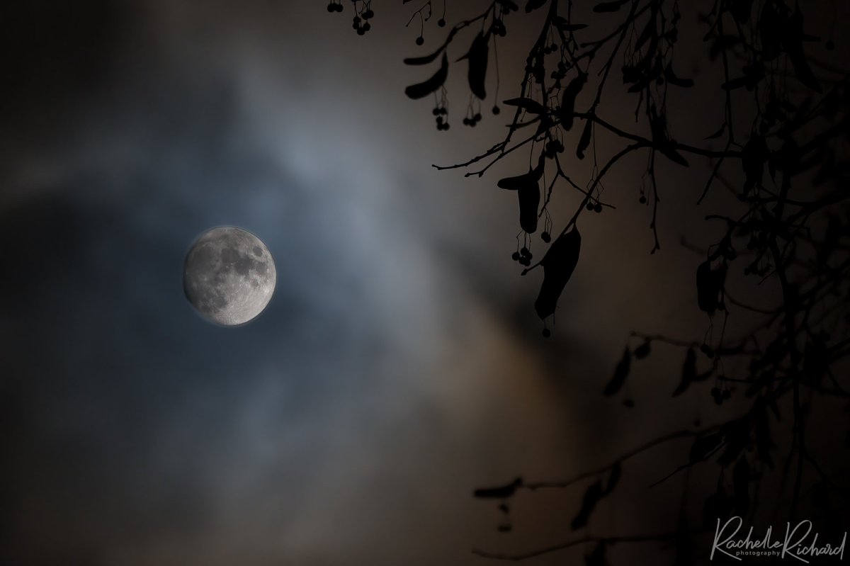 rachrichphoto's tweet photo. A few early shots of the November Beaver moon that will peak on Thursday. #ShareYourWeather #beavermoon #novemberfullmoon #moon #moonphoto #ThePhotoHour #Ontariocanada #kawarthalakes https://t.co/IldkU1Tmjb
