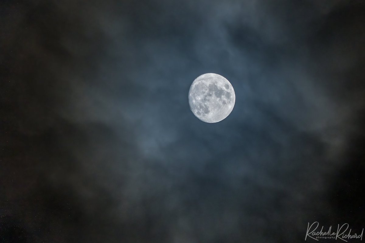rachrichphoto's tweet photo. A few early shots of the November Beaver moon that will peak on Thursday. #ShareYourWeather #beavermoon #novemberfullmoon #moon #moonphoto #ThePhotoHour #Ontariocanada #kawarthalakes https://t.co/IldkU1Tmjb