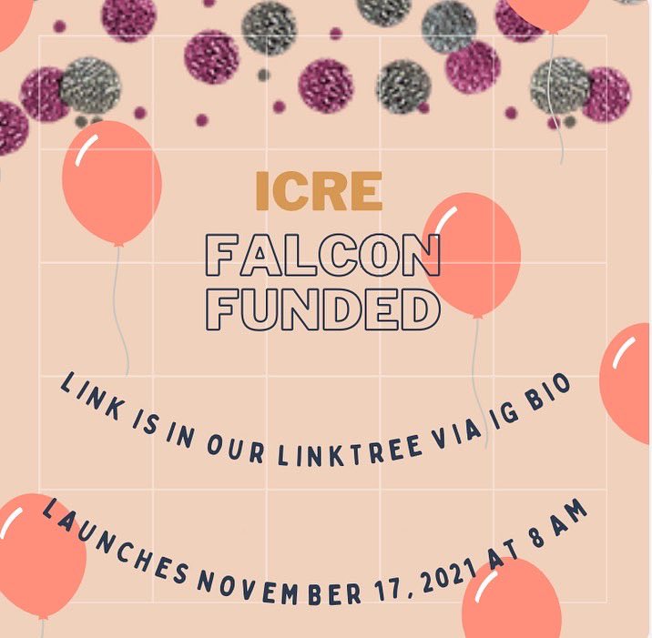 ICRE_2020's tweet photo. ICRE Falcon Funded will officially launch on November 17, 2021 @ 8 am. To donate, please check out the link here! Please also encourage people to share the link with your friends, peers, professors, etc! Spread the news! 🥳🤩
Link: https://t.co/8l4OdEGplL https://t.co/lhN3ydRI7X